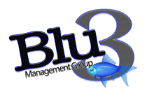 Blu3 logo copy